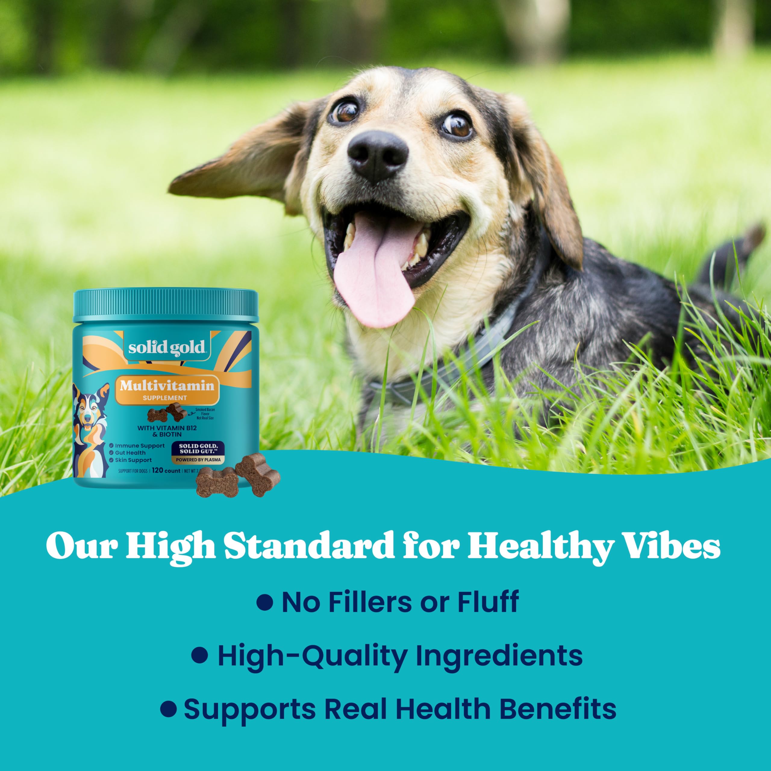 Solid Gold multivitamines pour chien — soutien immunitaire et antioxydants potentiels.