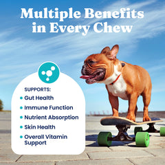 Solid Gold multivitamines pour chien — probiotiques et digestion pour le confort intestinal.