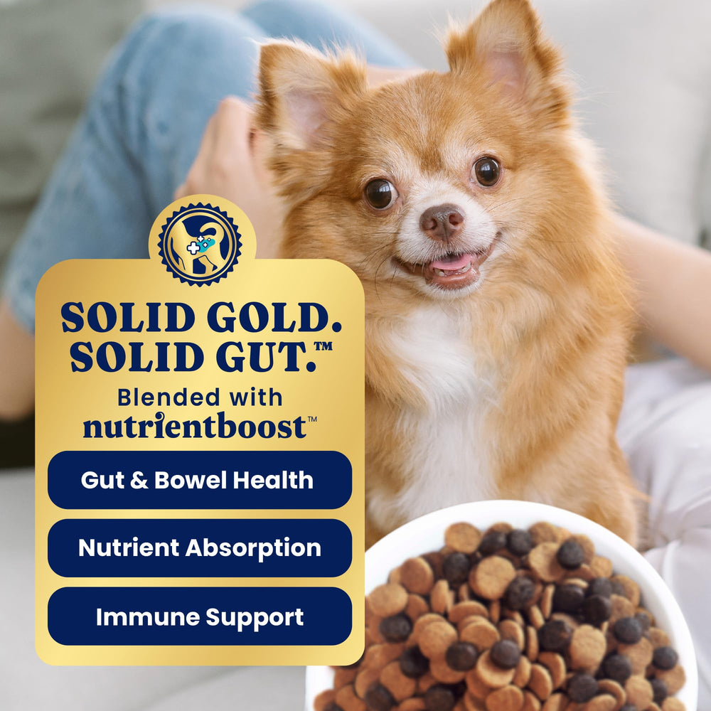 Solid Gold fibres et probiotiques, soutien digestion et absorption chez petits chiens.