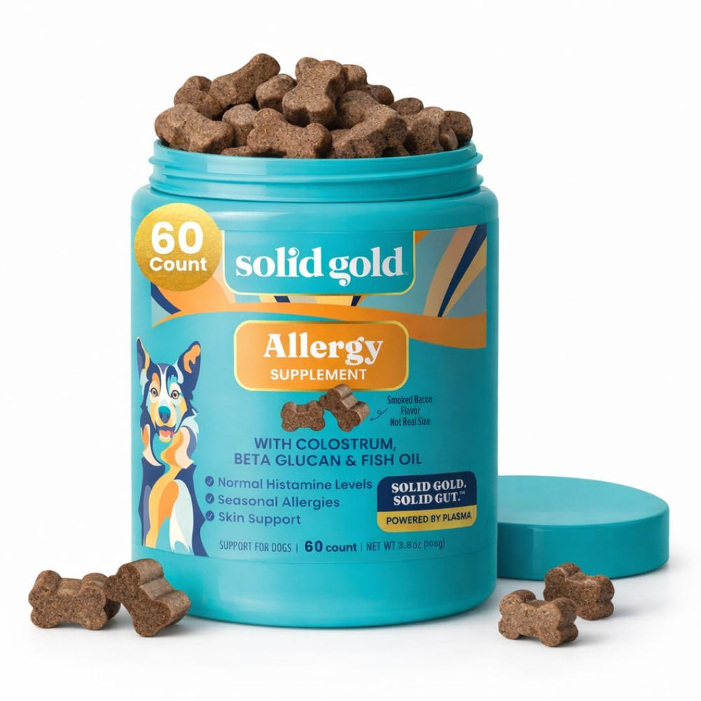 Friandises Solid Gold Allergy pour chiens, boîte de 60, soutien peau et pelage.