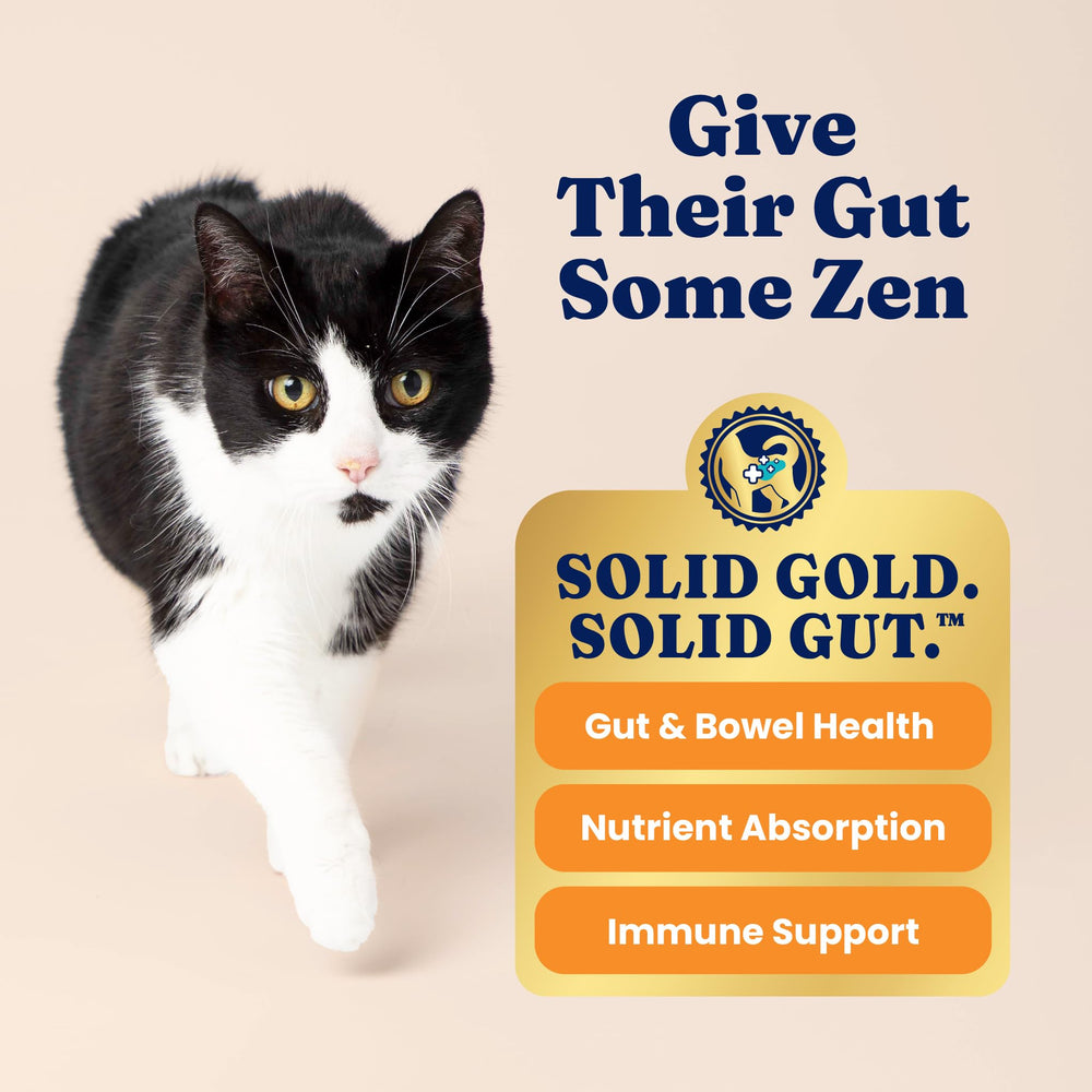Solid Gold Indoor Chat fibres non fermentables aidant les boules de poils.