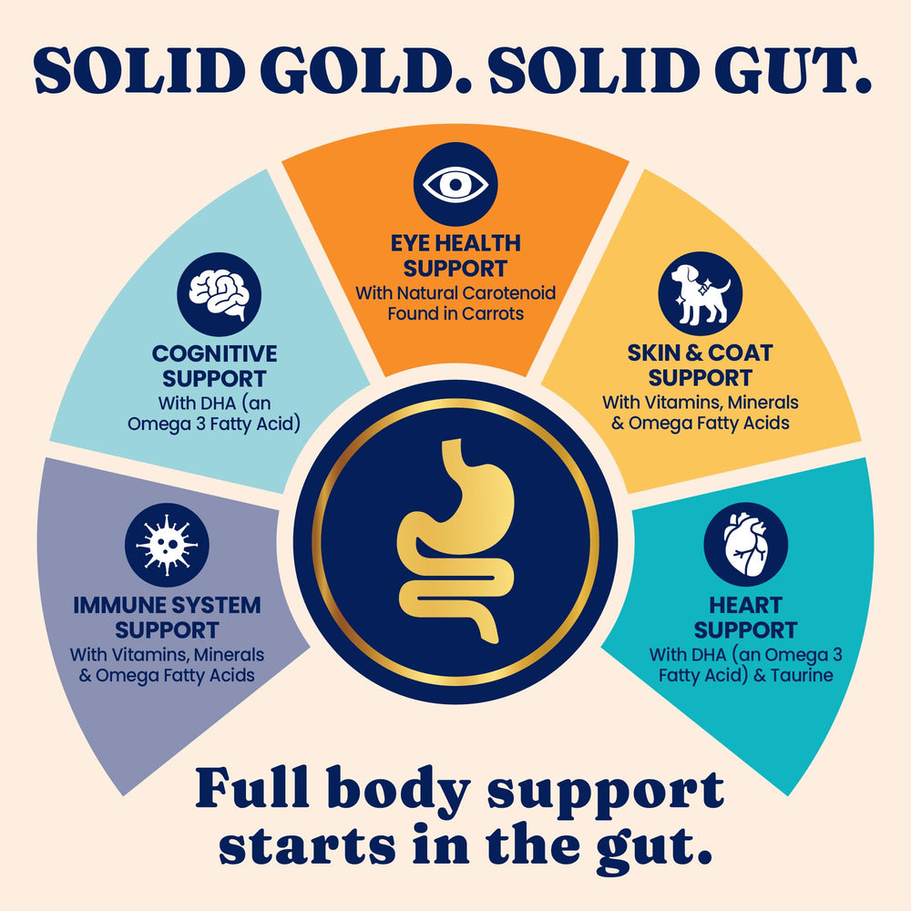 Solid Gold Indoor Chat omega et antioxydants pour le pelage brillant.