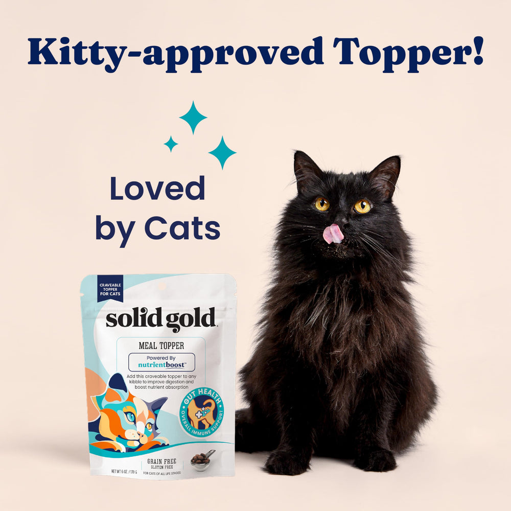Energie potentielle accrue grâce à NutrientBoost pour le chat actif.
