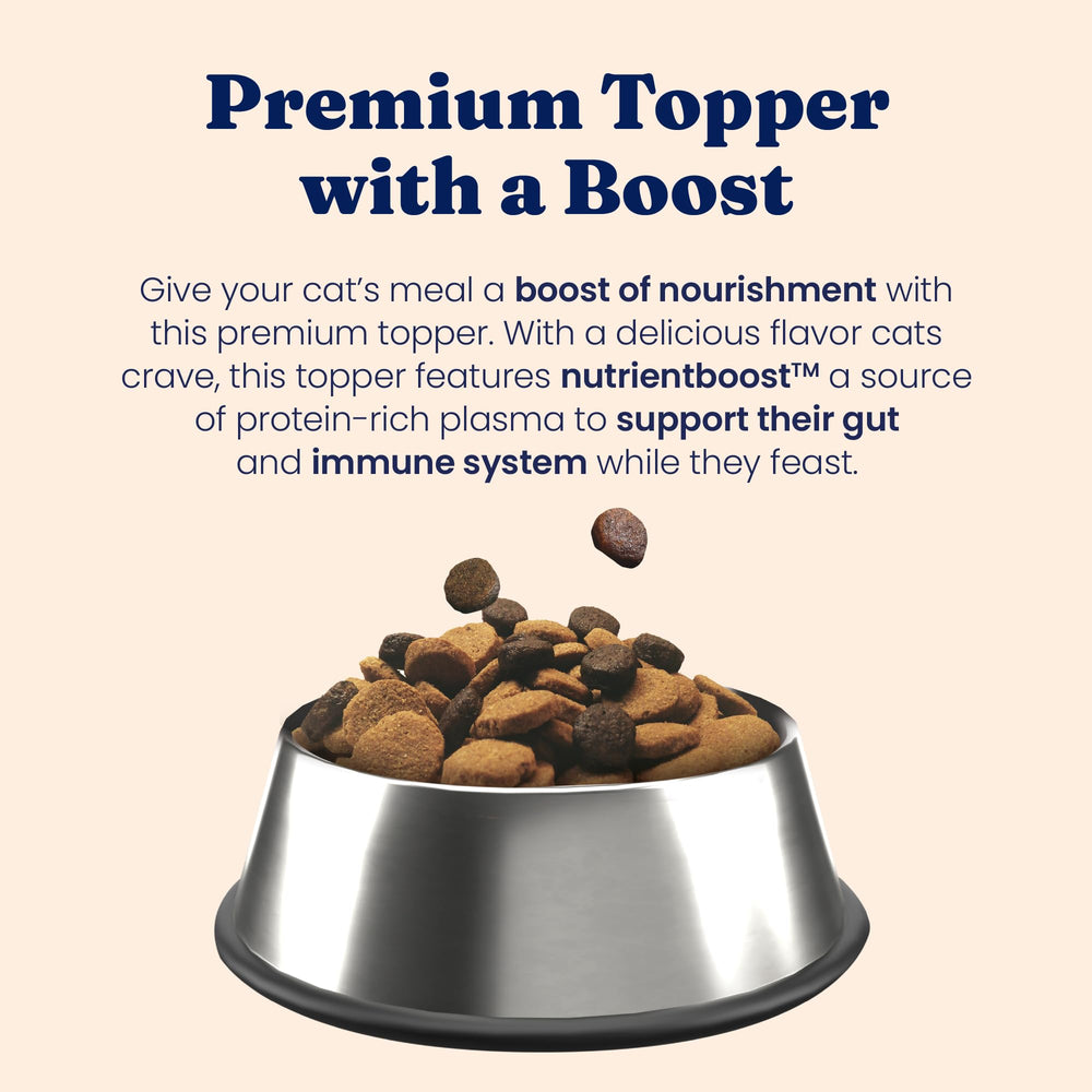 Mélange de NutrientBoost avec nourriture humide pour varier les repas du chat.