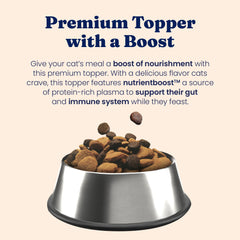 Mélange de NutrientBoost avec nourriture humide pour varier les repas du chat.