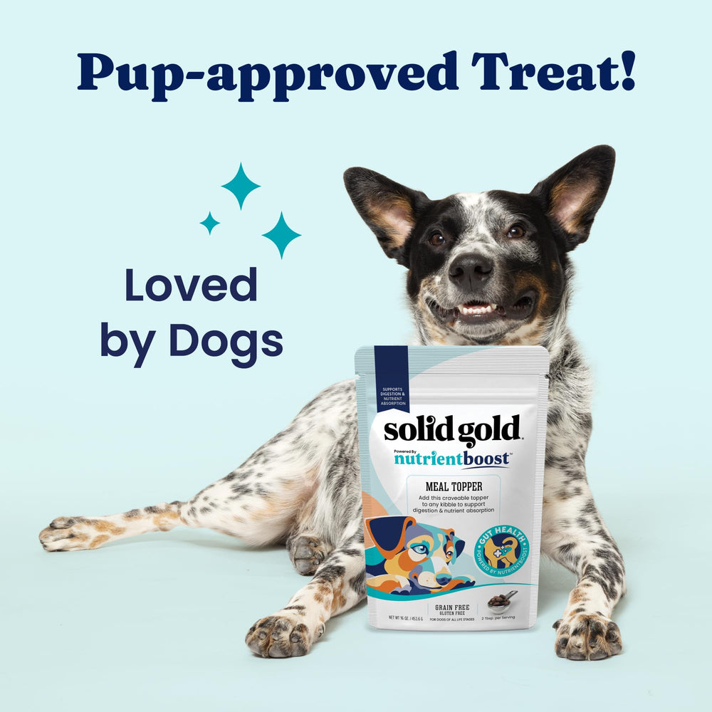 Solid Gold NutrientBoost topper-chien-difficile stimule l'appétit