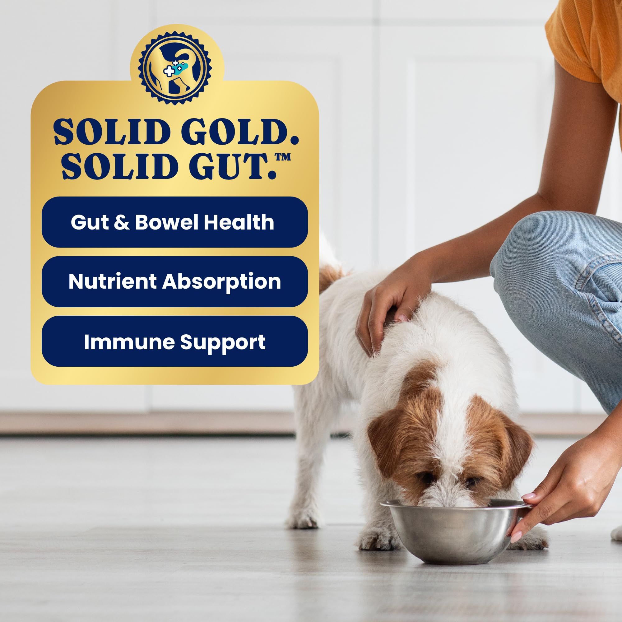 Solid Gold nutrition quotidienne-chien, repas complet pour tous les âges.