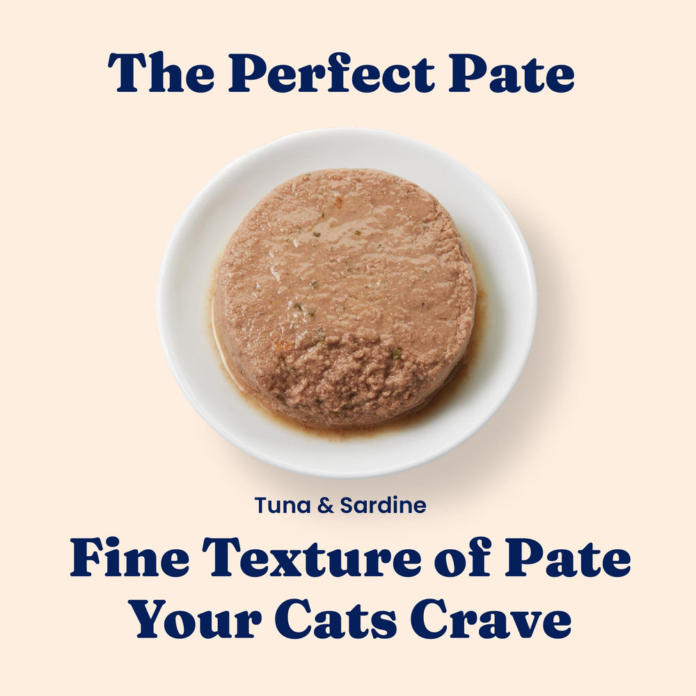 Solid Gold pâté chat, digestion facile grâce à des ingrédients simples.