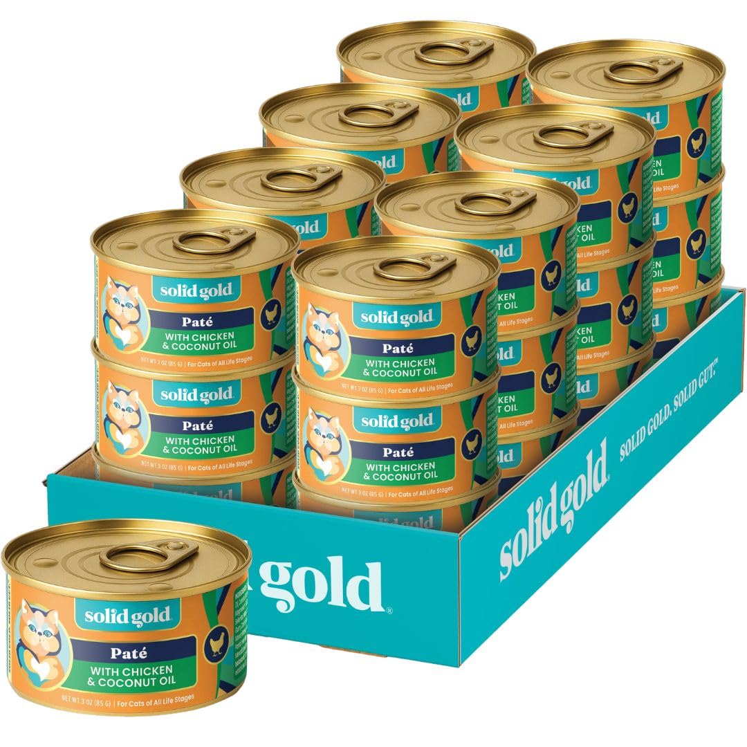 Solid Gold Pâté chat au poulet et huile de coco — texture riche et appétente.