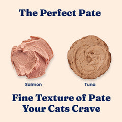 Solid Gold pate-chat-texture-cremeuse : texture douce et appétissante.