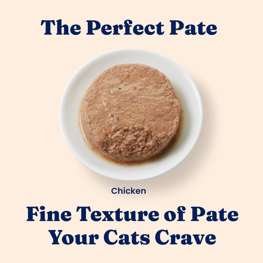 Solid Gold, pâté chaton oméga pour peau et pelage