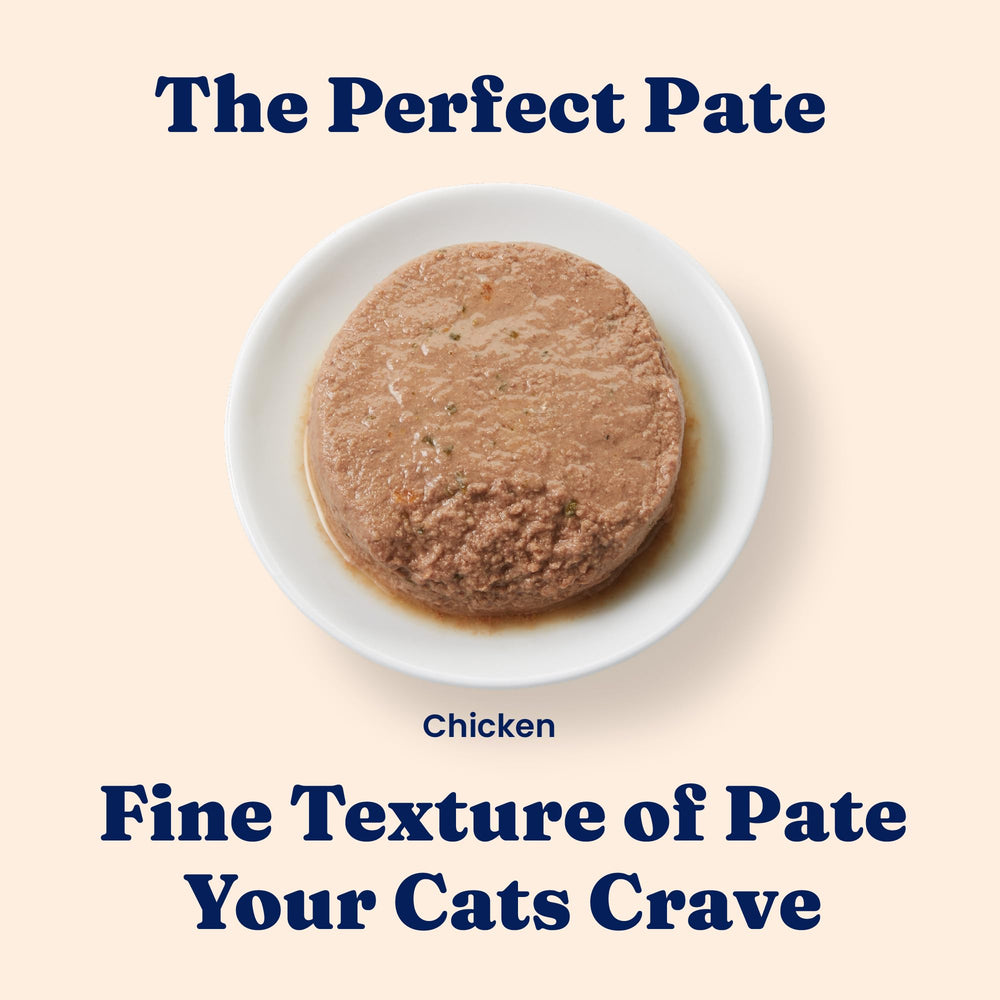Pâté sans céréales Solid Gold pour chats, soutien digestif potentiel.