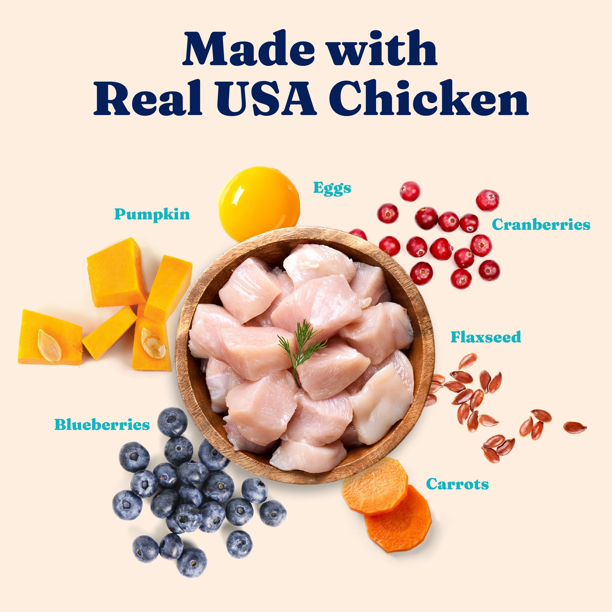 Solid Gold poulet et œuf entier – protéines de qualité pour le métabolisme du chat.