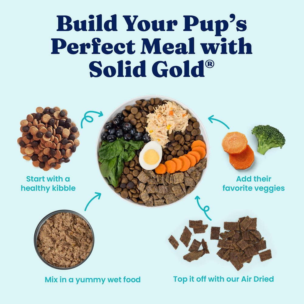 Solid Gold poulet-reel-chien : saveur naturelle et alimentation complète pour chiens actifs.