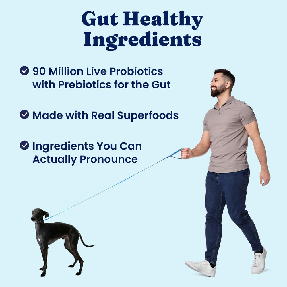 Probiotiques à 90 millions par livre soutenant digestion et immunité.