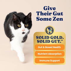 Solid Gold probiotiques chat: soutien digestion et immunité
