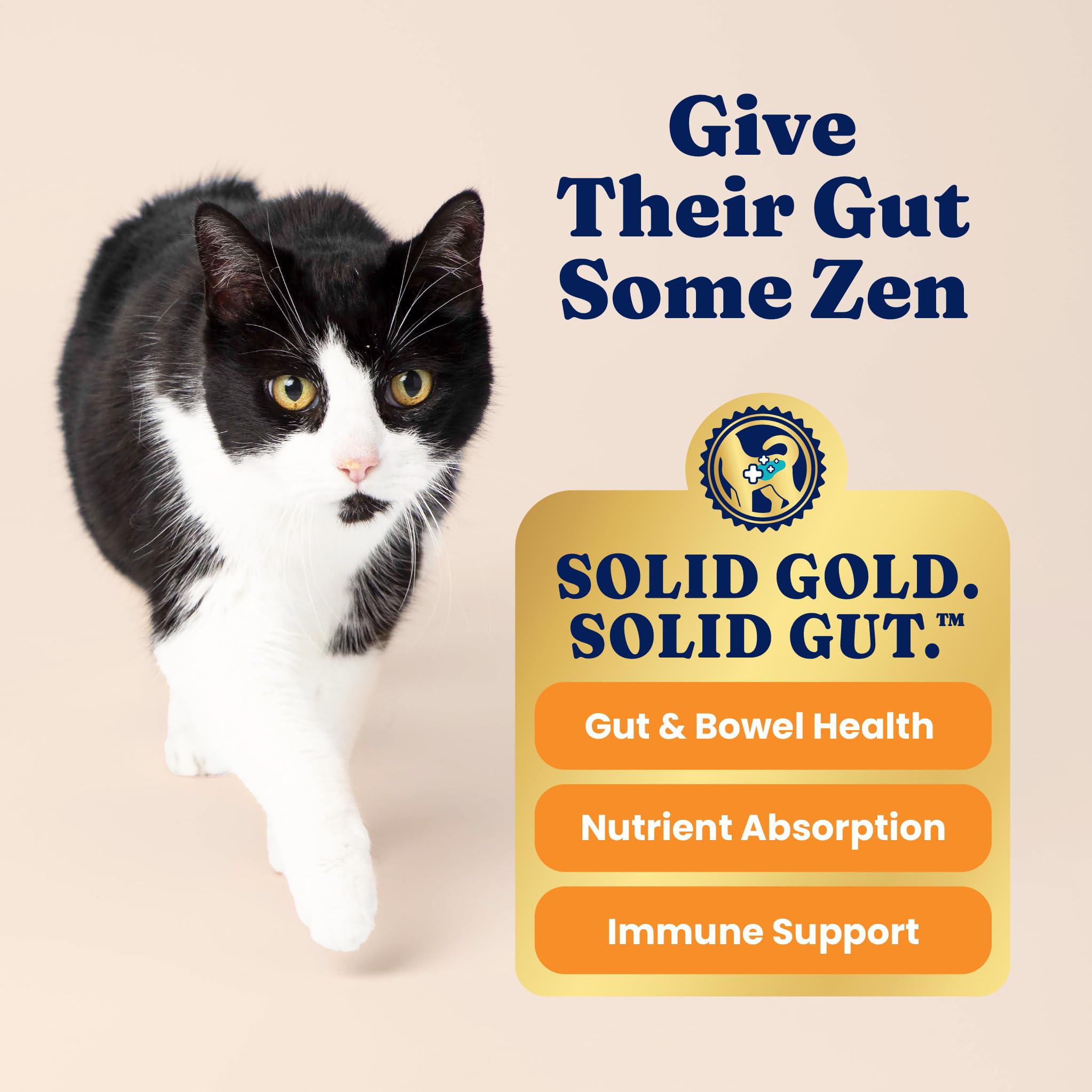 Probiotiques Solid Gold favorisant digestion et flore intestinale féline