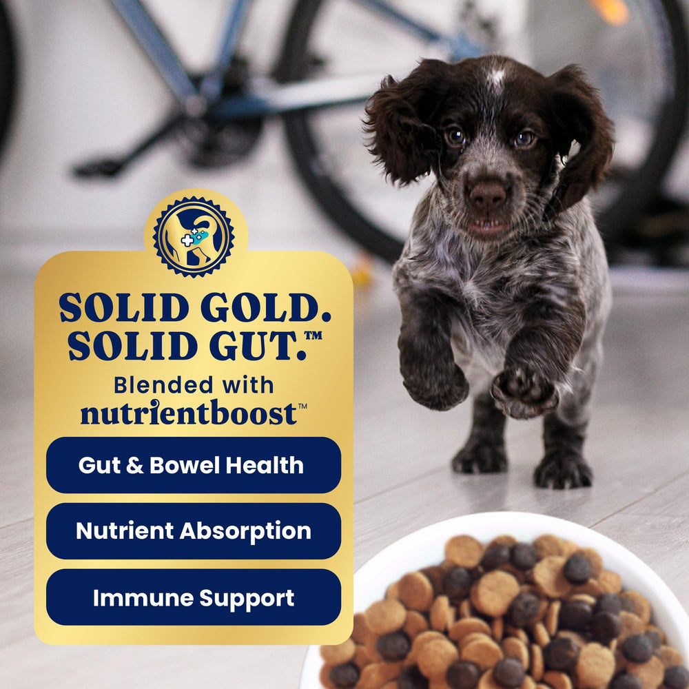 Solid Gold sans céréales et gluten, option légère pour chiots sensibles.