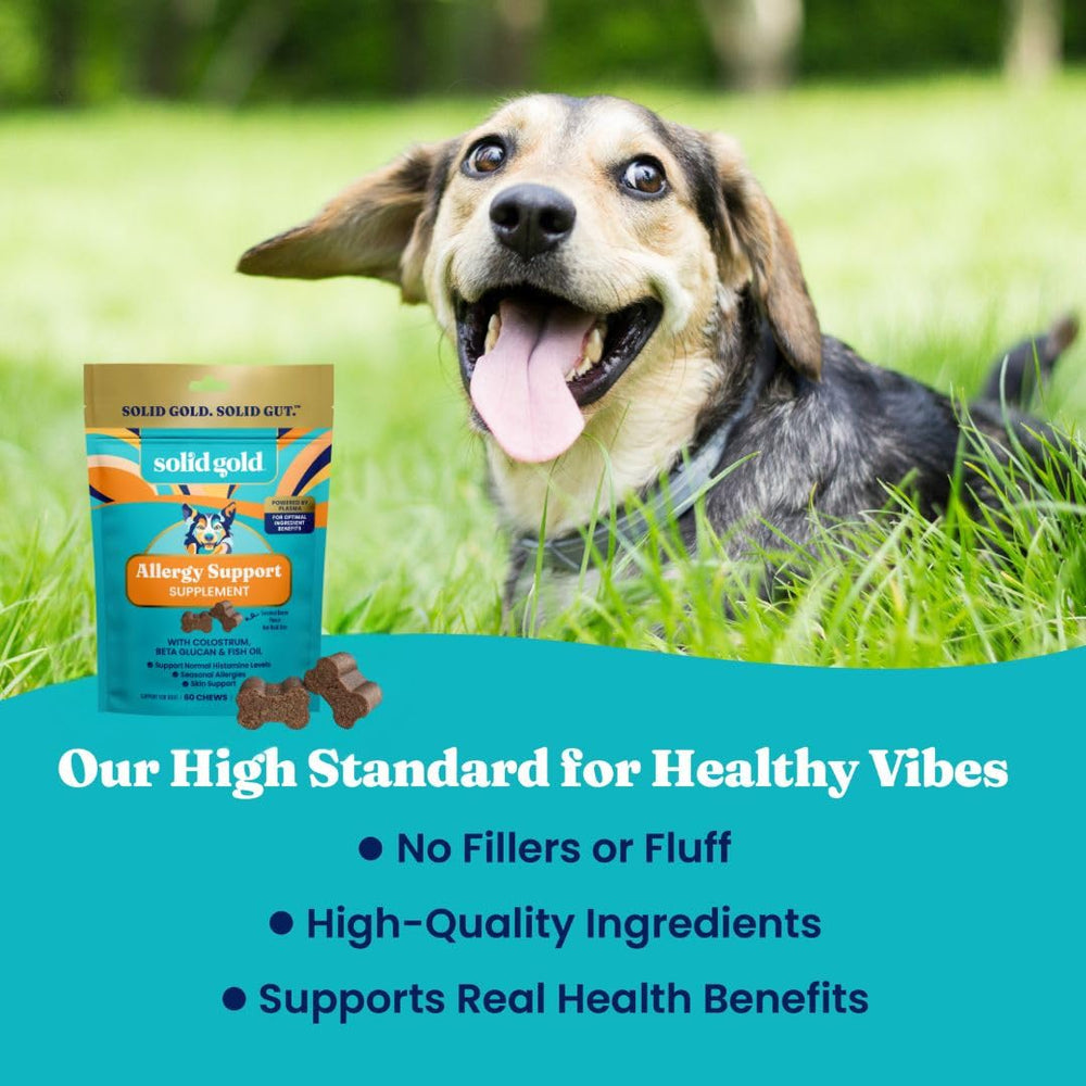 Saveur bacon des friandises Solid Gold pour chiens.