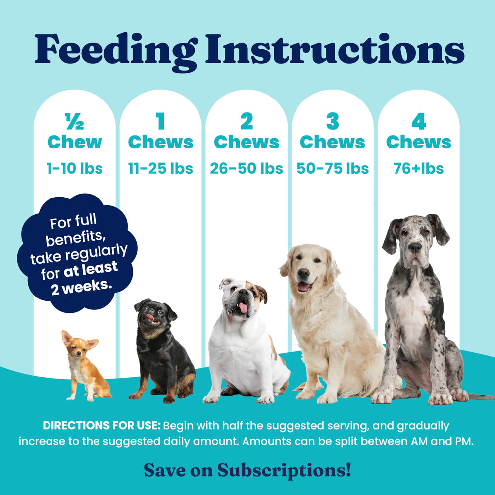 Solid Gold SeaMeal – Oméga 3 et nutriments pour chiens et chats.