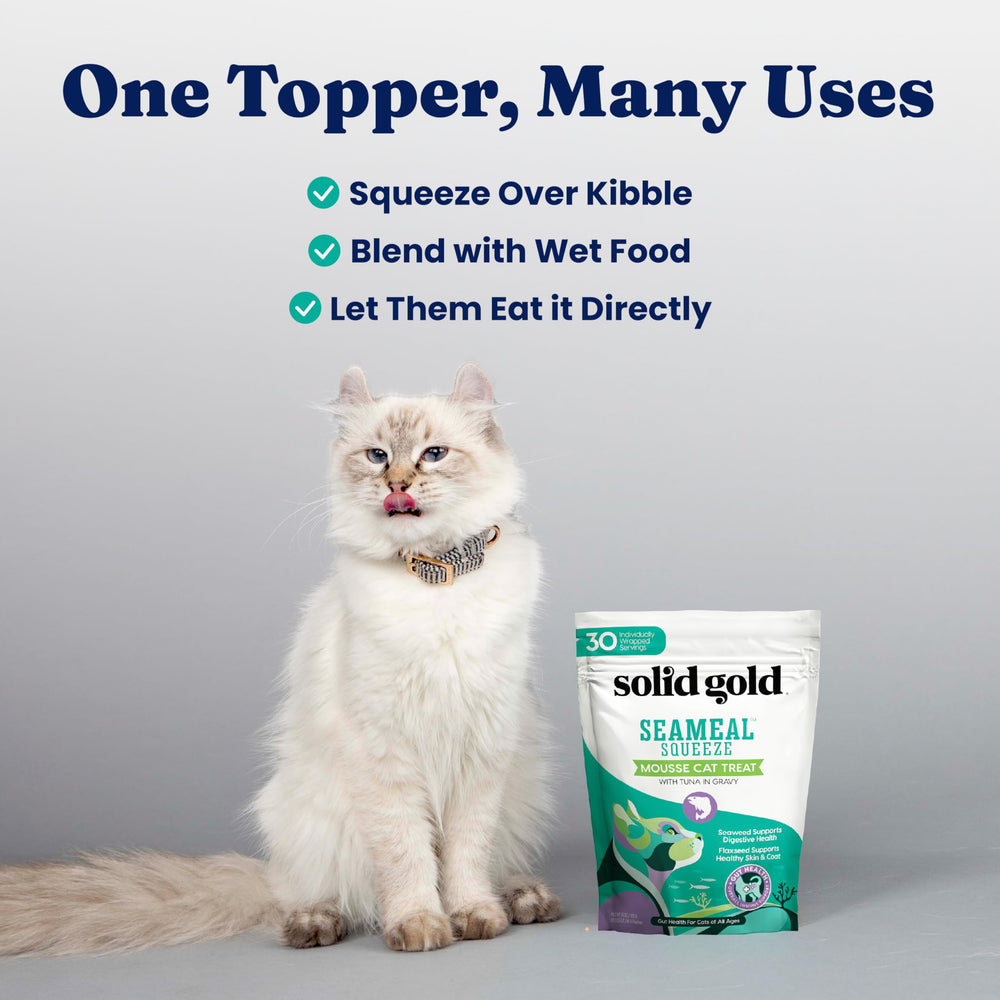 Texture cremeuse de SeaMeal Squeeze prête à être servie au chat