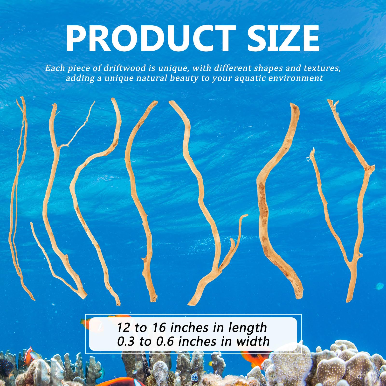 Solsew bois flotté pour aquarium, décor naturel stimulant l’observation des animaux