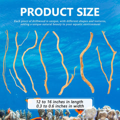 Solsew bois flotté pour aquarium, décor naturel stimulant l’observation des animaux
