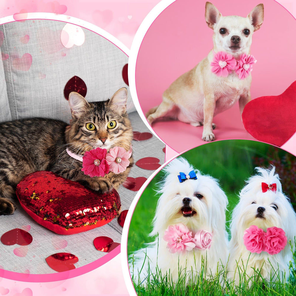 Solsew lot de 50 colliers animaux, idéal pour grooming et fêtes.