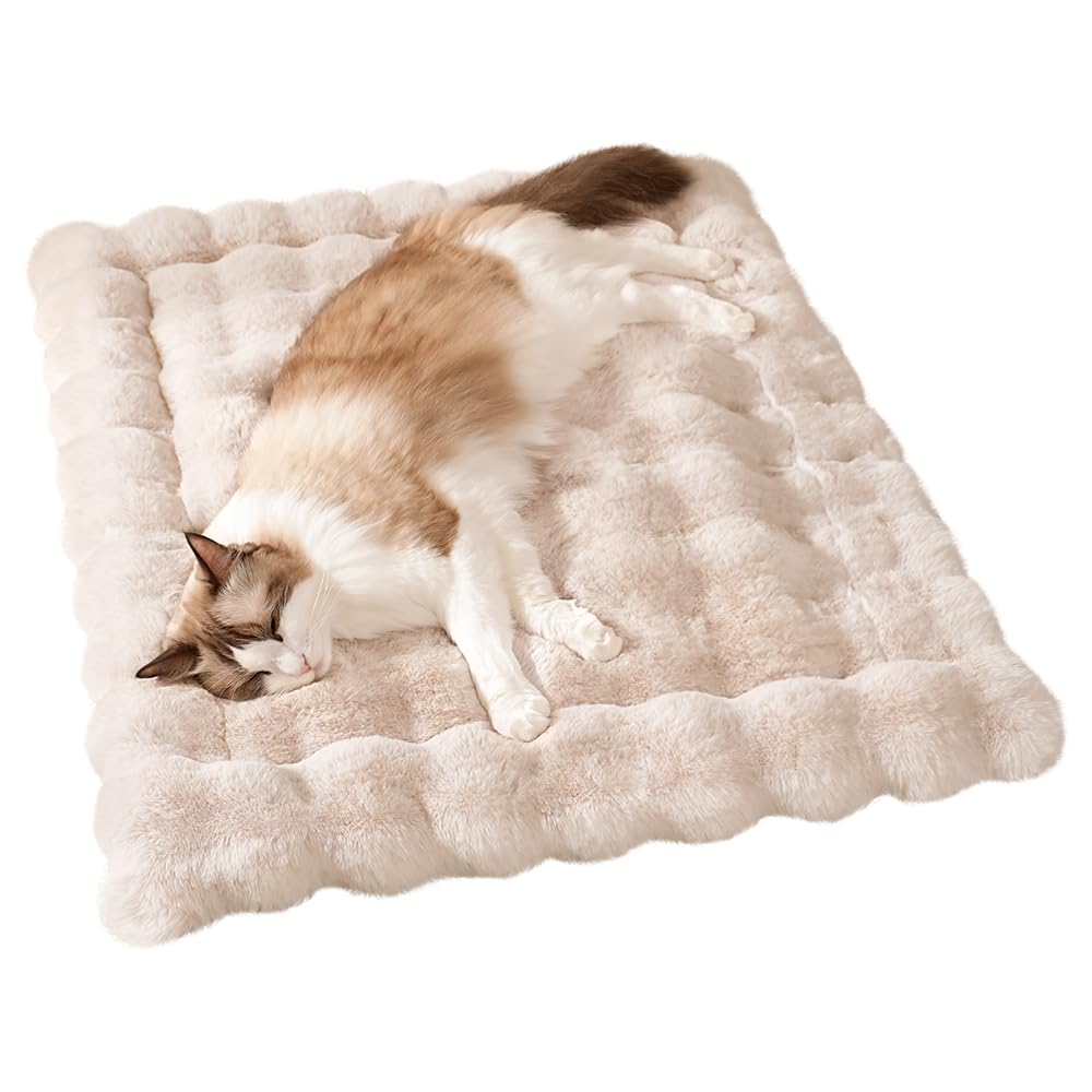 SOMAHE Cat Bed Mat ensemble: confort global pour sieste cosy.