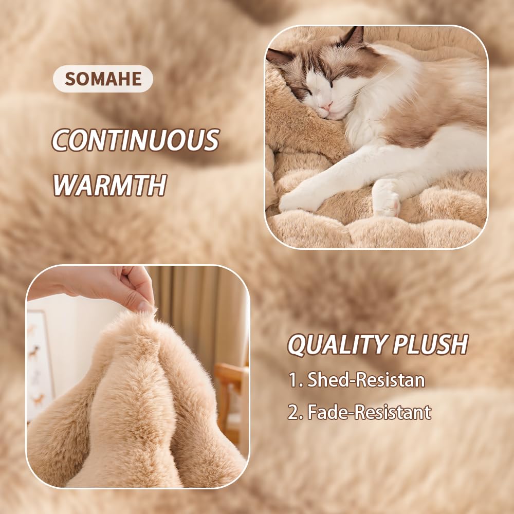 SOMAHE tapis-chat dense et durable résistant au lavage répété.