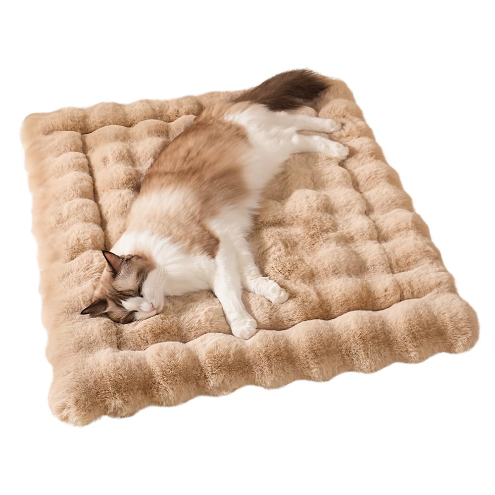 SOMAHE tapis-chat peluche douce, idéal pour les câlins et le repos.