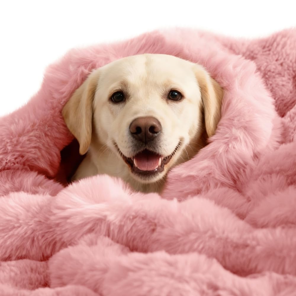Couverture auto-chauffante SOMAHE pour chien, face sherpa, chaleur confortable