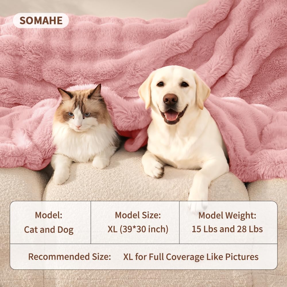 Design discret et chaleureux SOMAHE pour chien et salon