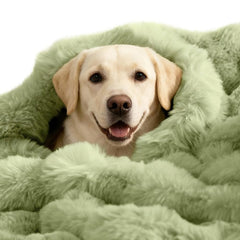 SOMAHE couverture auto-chauffante pour chien moyen et grand, chaleur réconfortante