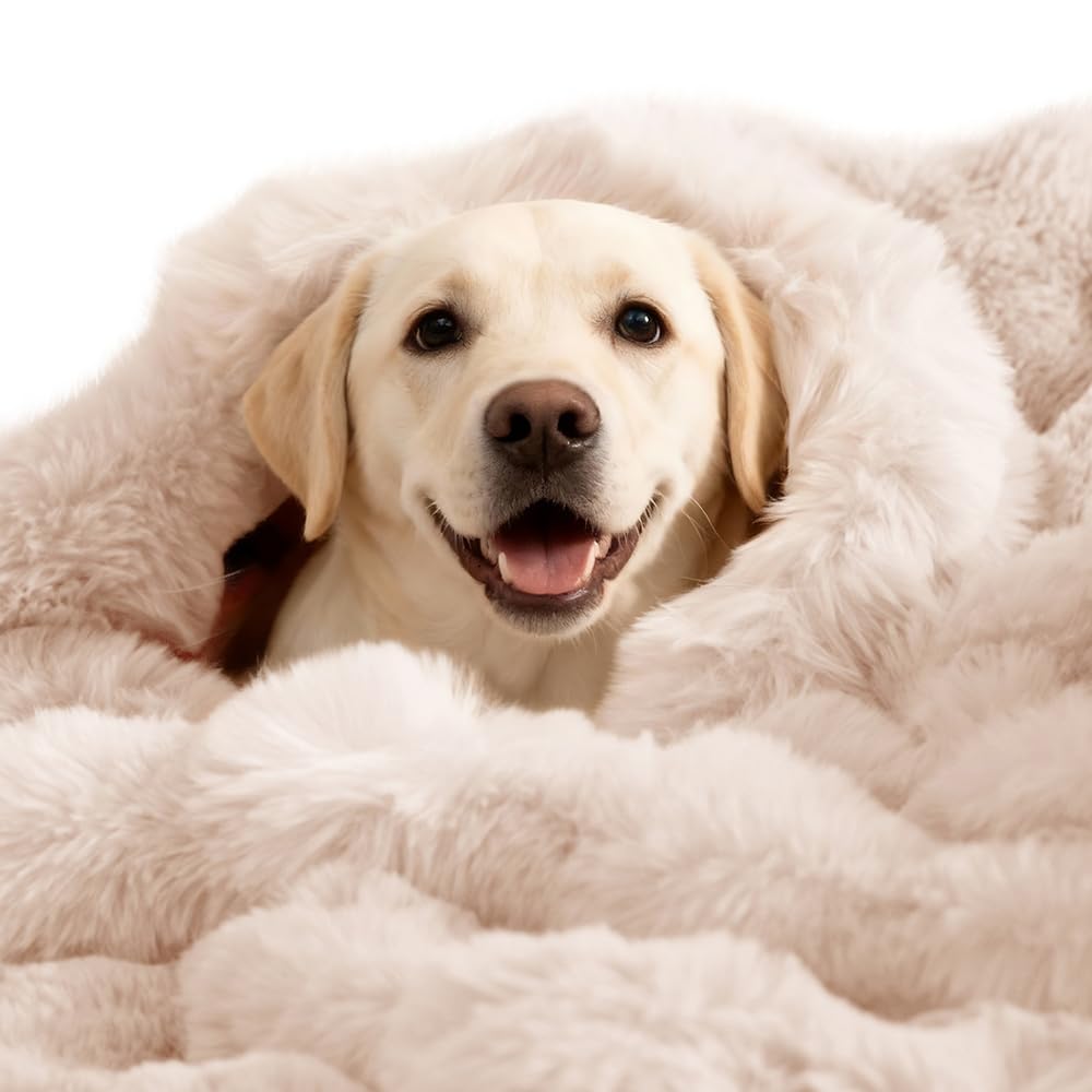 SOMAHE Couverture auto-chauffante pour chien, aperçu élégant et chaleur rapide.