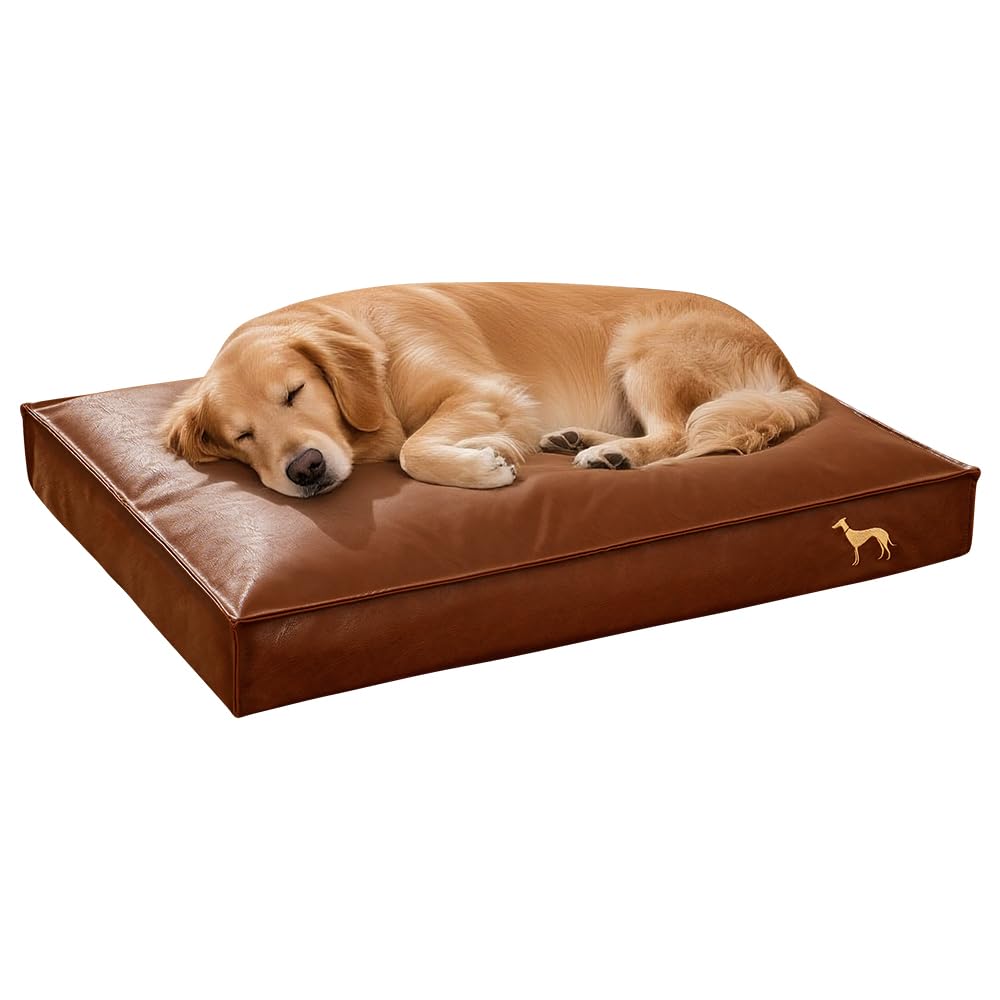 SOMAHE oreiller orthopedique pour chien, soutien articulation et sommeil profond