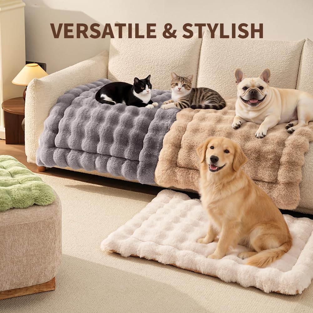 SOMAHE tapis chat gris, s'harmonisant à la décoration intérieure.
