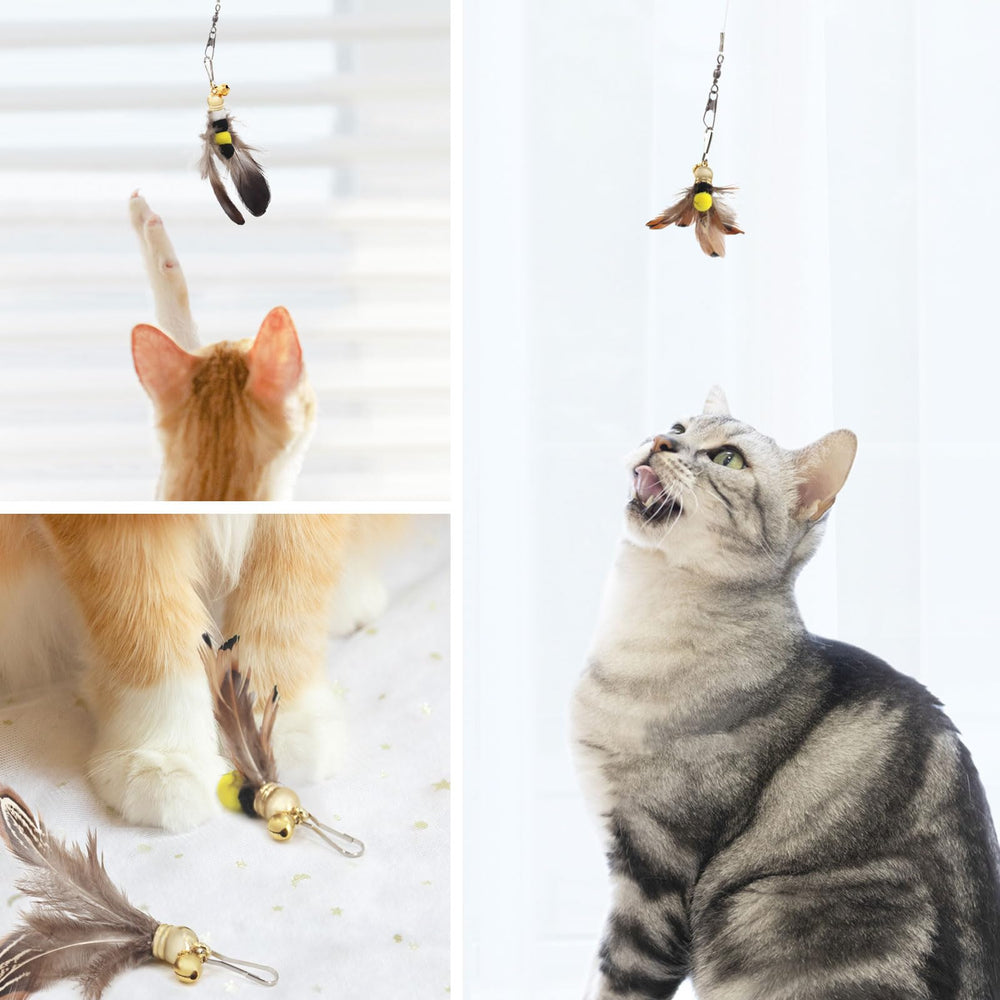 SONGWAY cadeau idéal pour chats, soigneusement sélectionné après essais.