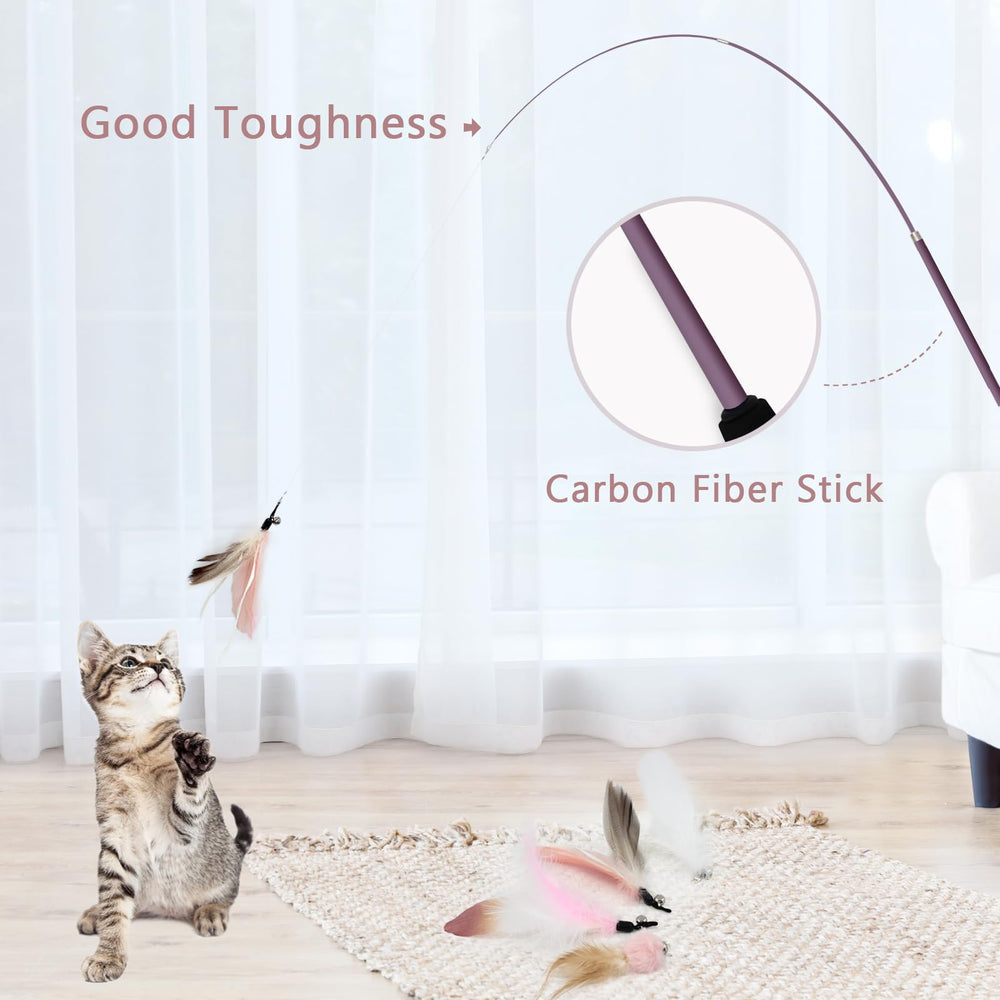 Songway chat en action avec jouet interactif et exercice.