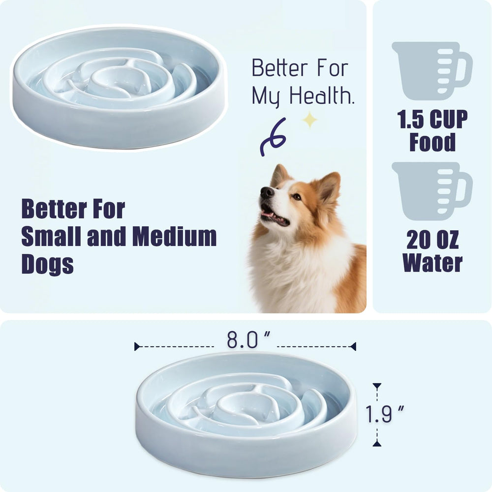 Bol Soniuong en céramique pour chat, ralentit les repas et réduit les éclaboussures.