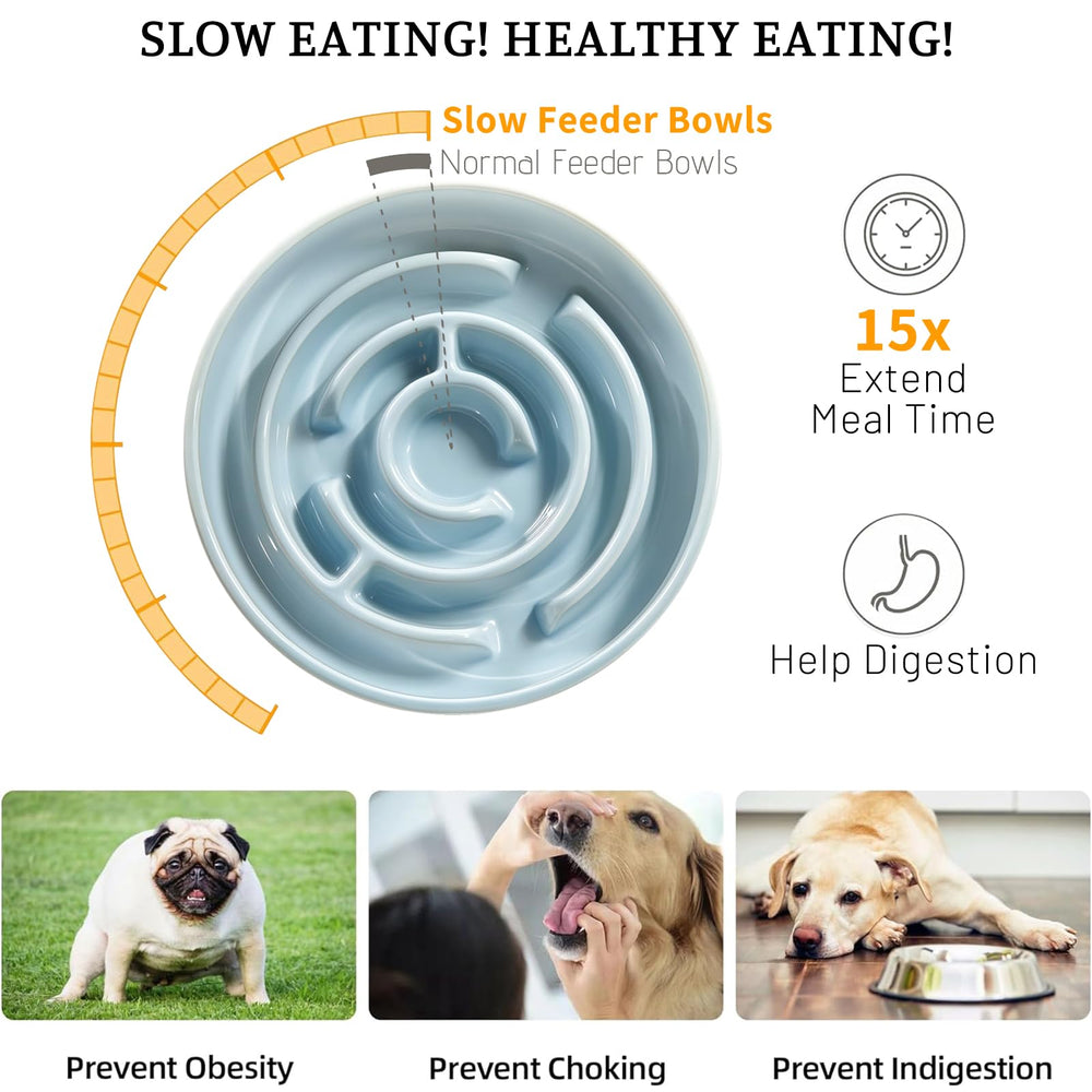 Bol Soniuong anti-glouton, labyrinthes stimulant les repas.