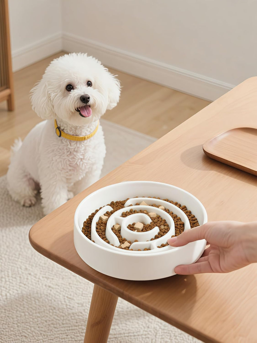 Bol Soniuong adapté pour chiens et chats, petites et moyennes races.