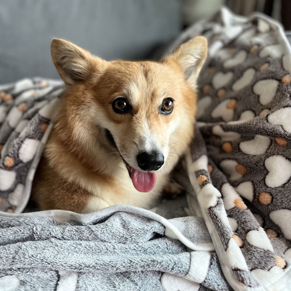 SORKUT petit doudou os : motif os pour chien ou chat et chaleur réconfortante.