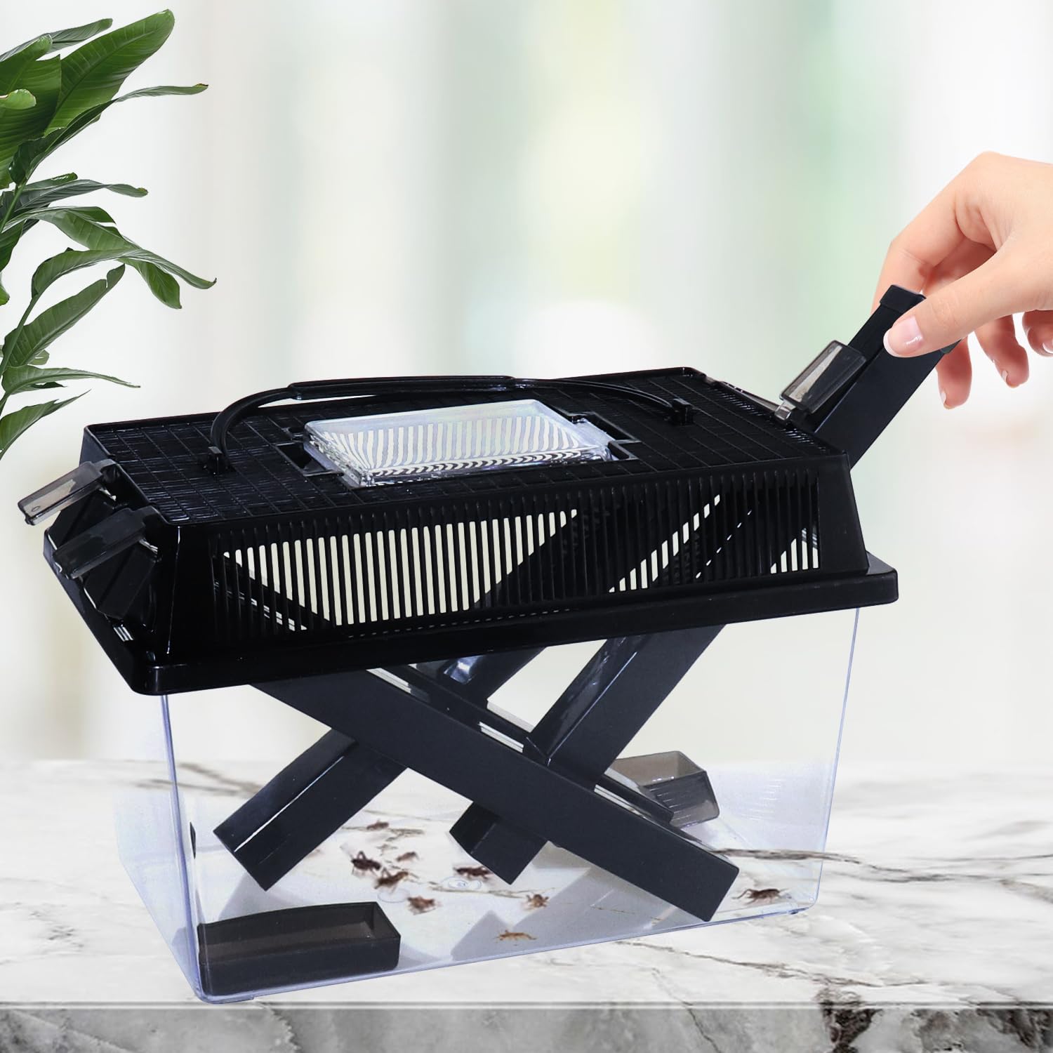 SORWATEE couvercle amovible avec ventilation, facilite l'alimentation des insectes.
