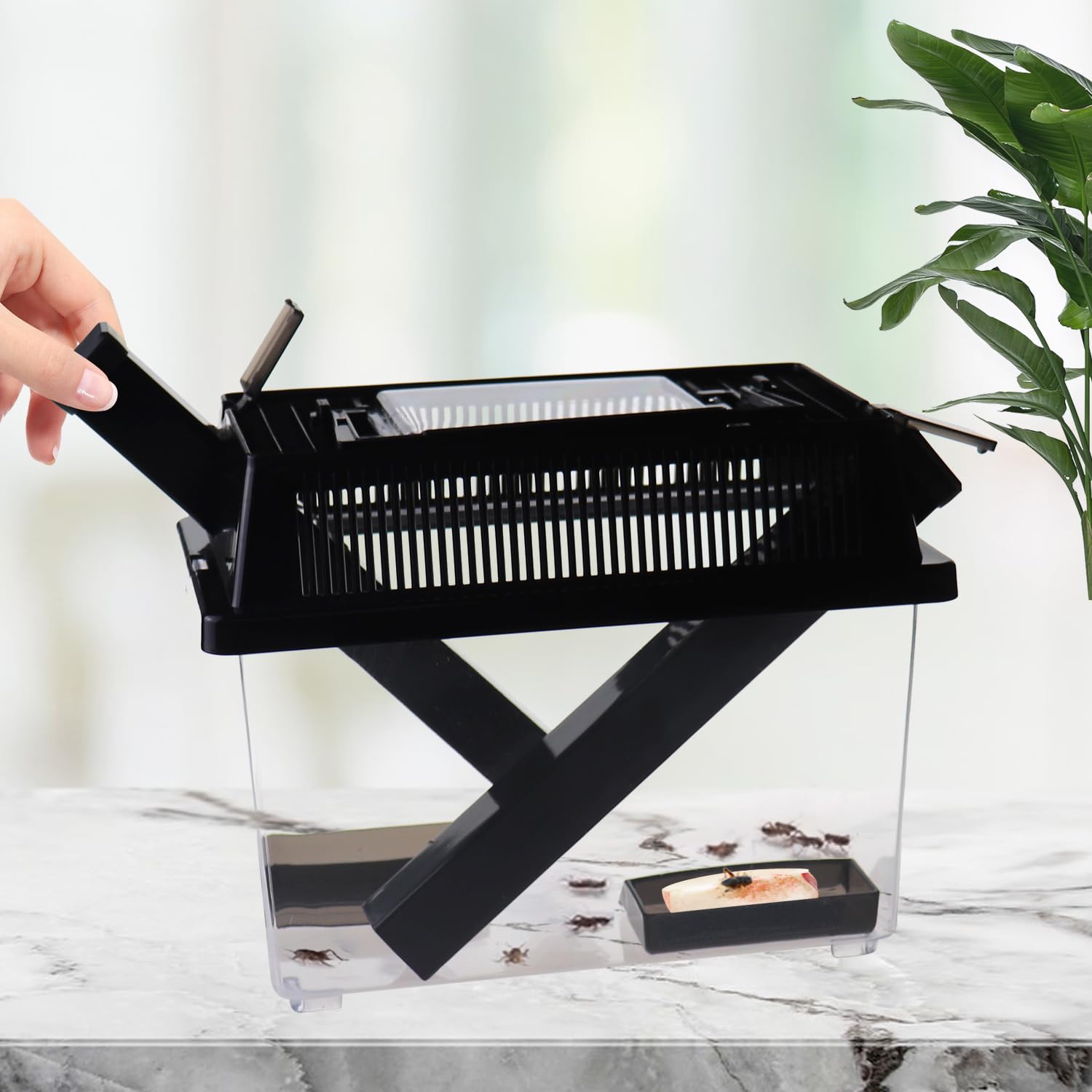 Distributeurs noirs pour grillons, facilité d'alimentation