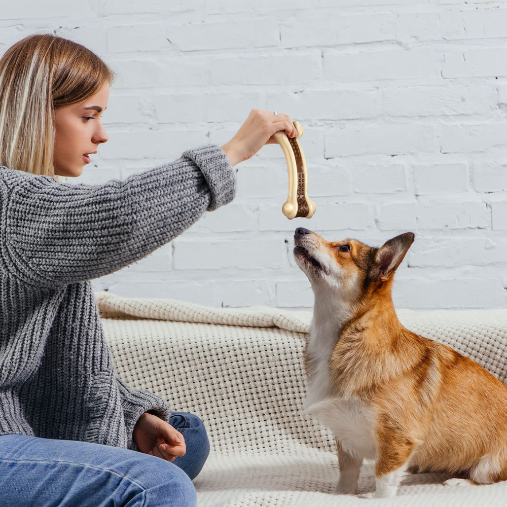 Cadeau de Noël Sosation, jouet pour chien, divertissant et durable.