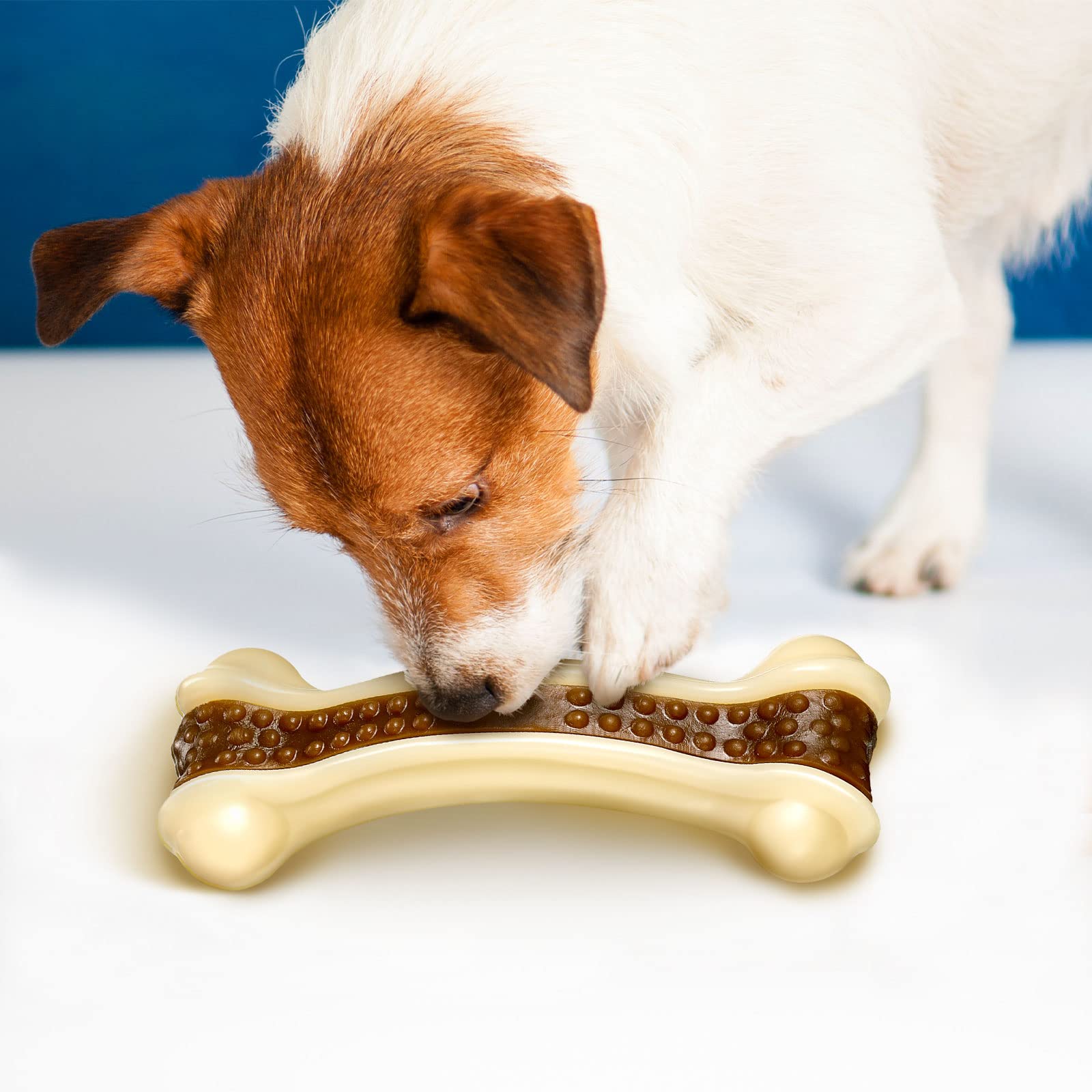 Jouet anti-anxiété Sosation pour chien, apaise l’ennui pendant les sessions de jeu.