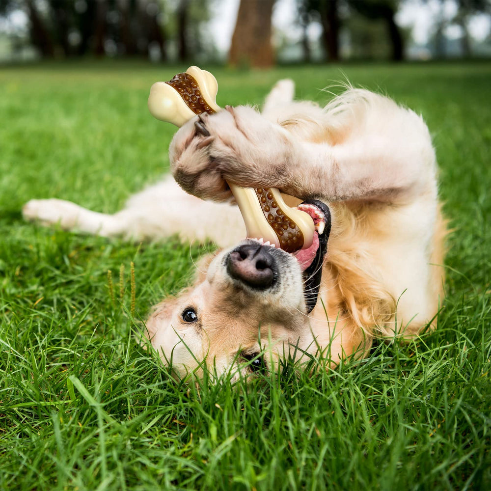 Jouet Sosation durable pour mâchage, idéal pour chiens agressifs recherchant la longévité.