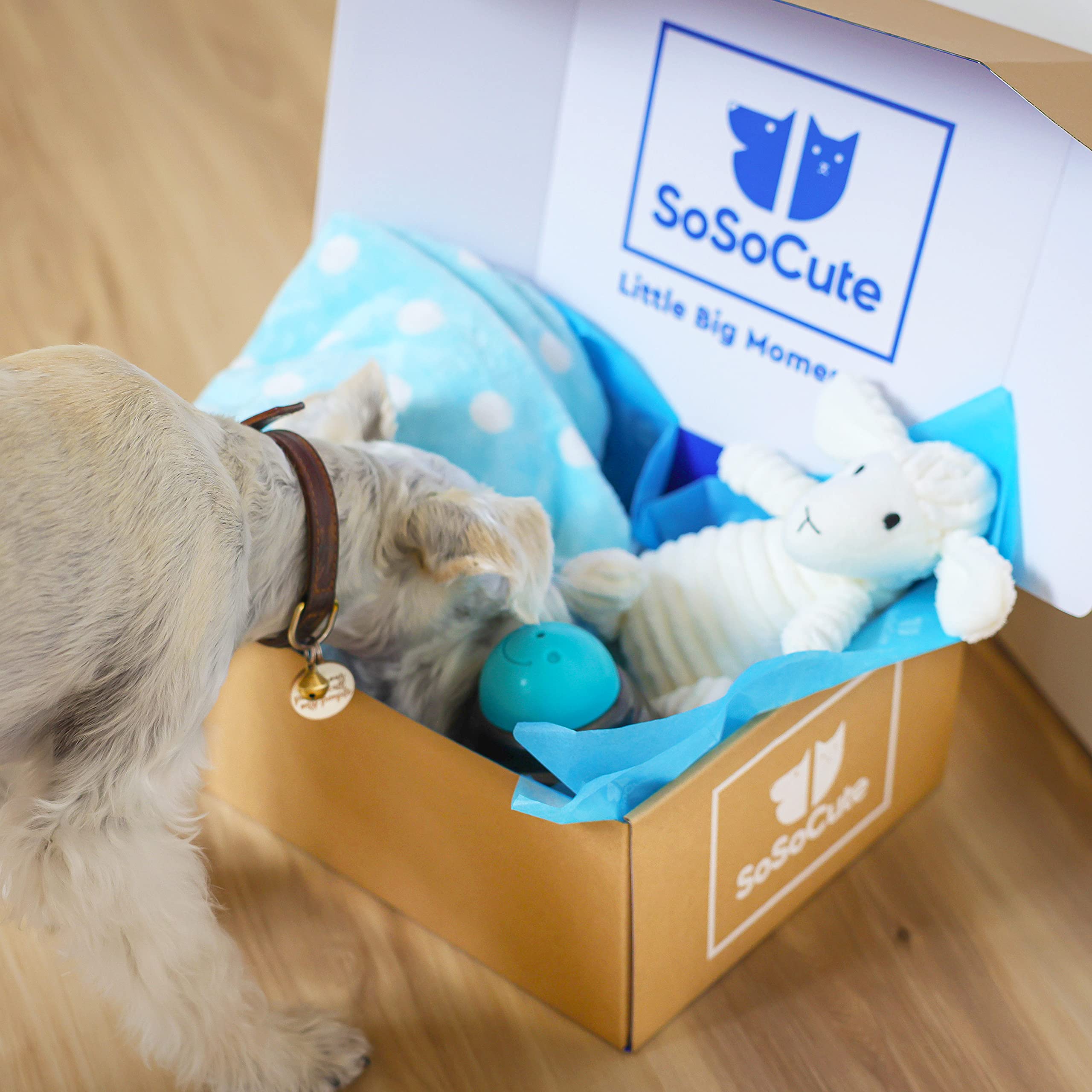 Peluche-sifflet bleue SoSoCute, jouet sûr qui encourage le jeu.
