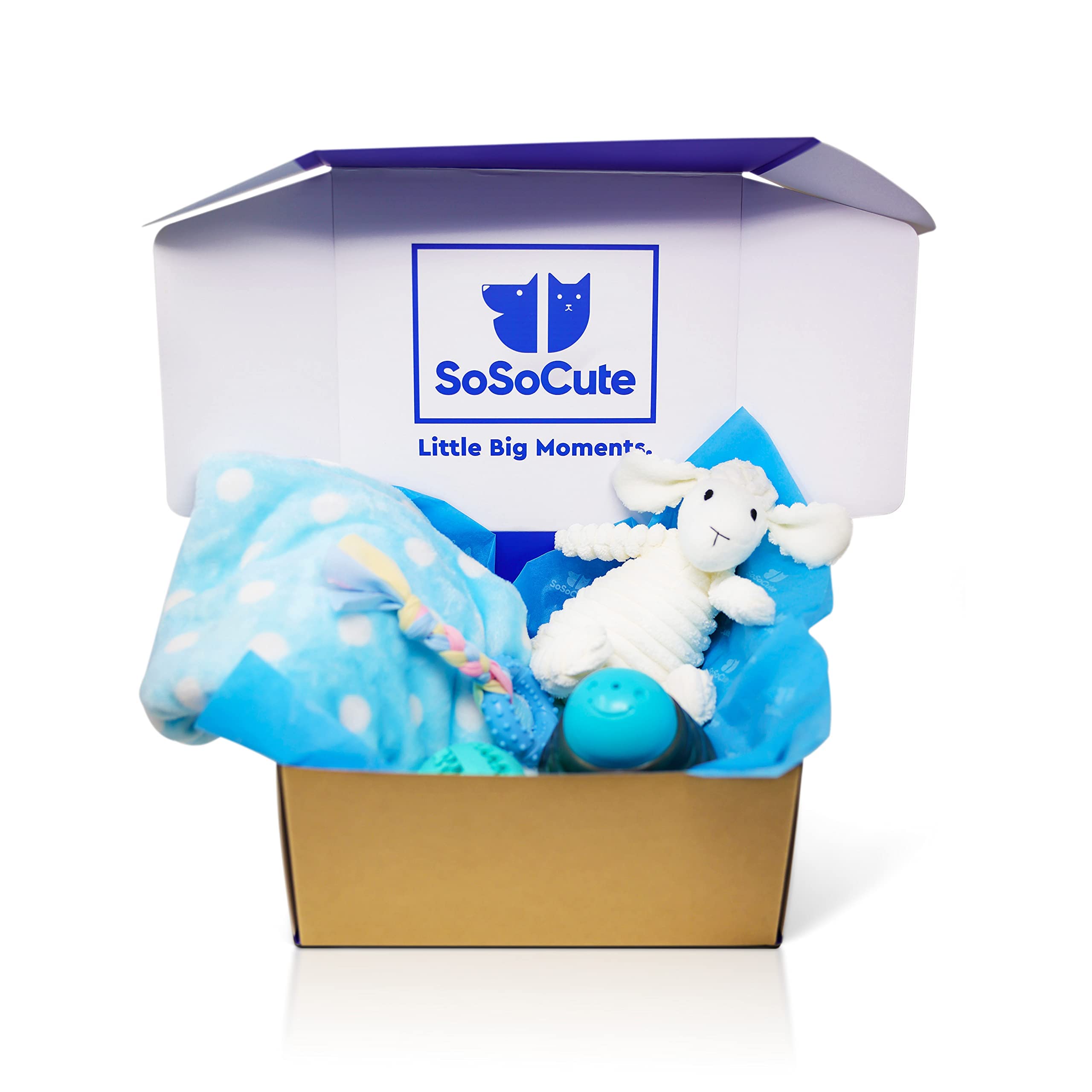 Ensemble-chiot bleu SoSoCute, kit complet pour premiers jours à la maison.